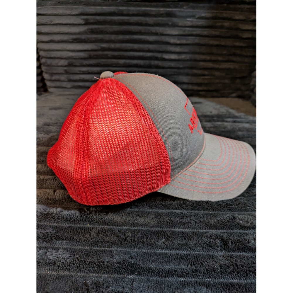 Dorfman Pacific Arkansas The Natural State Mount Nebo State Park Trucker Hat - Picture 5 of 8
